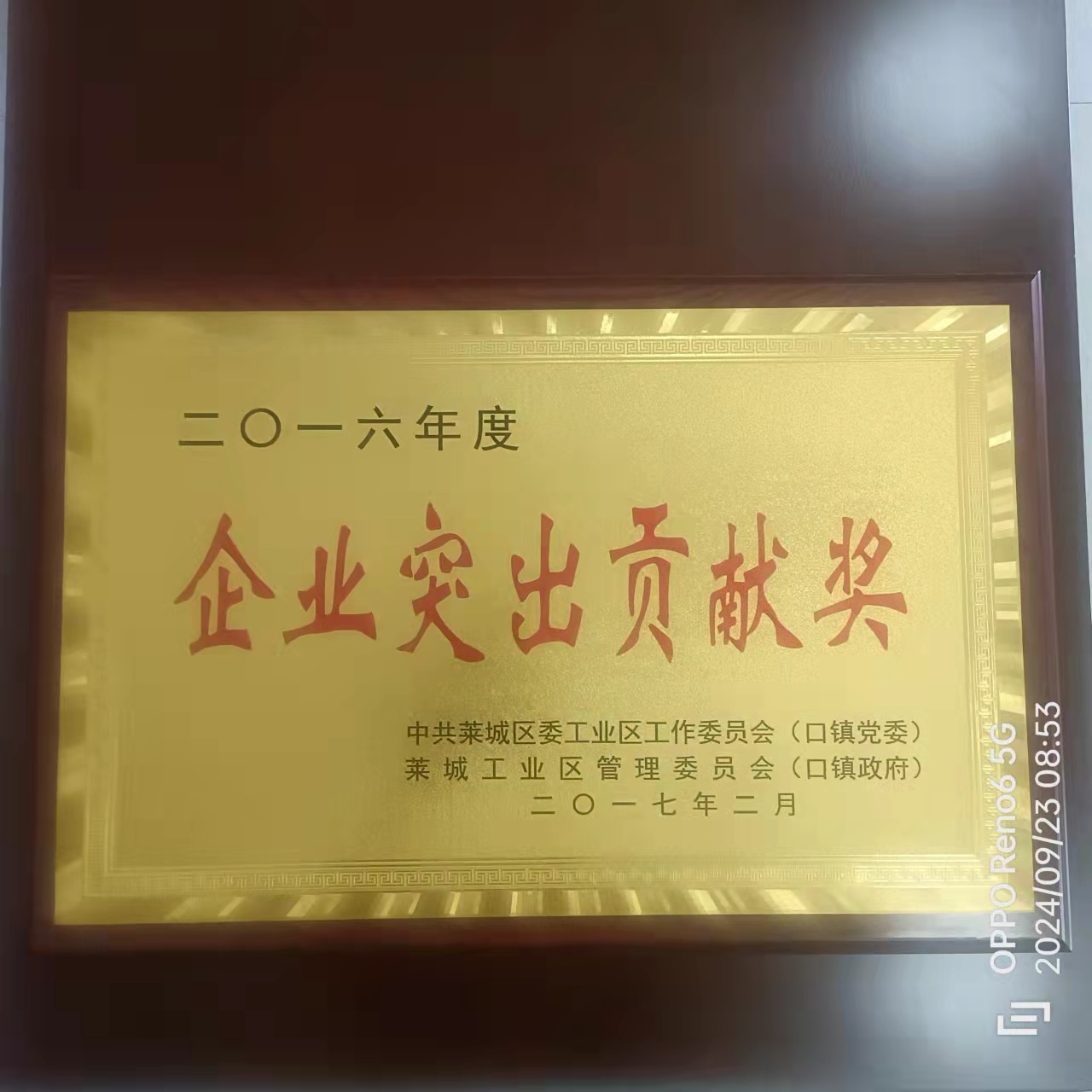 企业突出贡献奖
